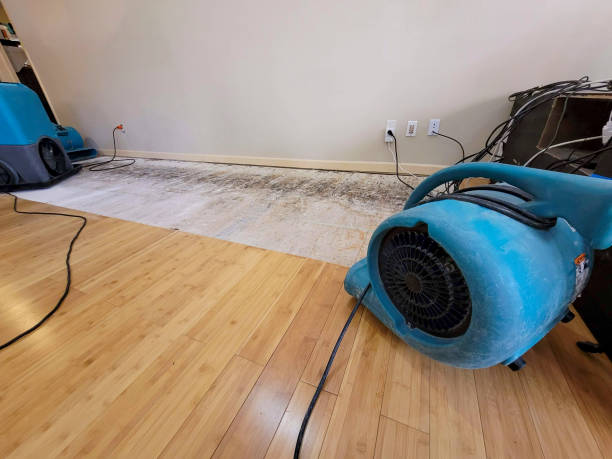 Professional Ceiling Water Damage Repair technician working in Woodbury, TN